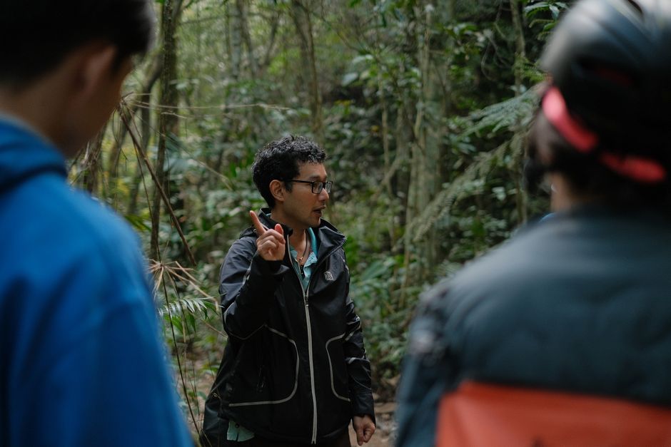 A guide leading a group of people on an informative nature walk in a dense forest.
