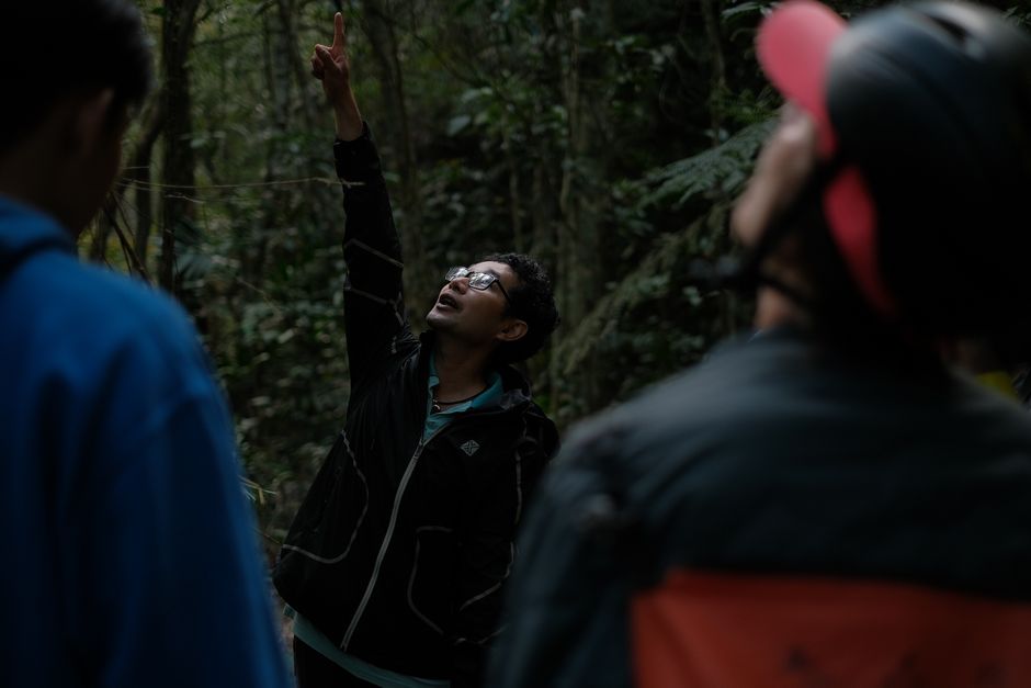 Guide pointing at wildlife in dense forest, engaging with a group.