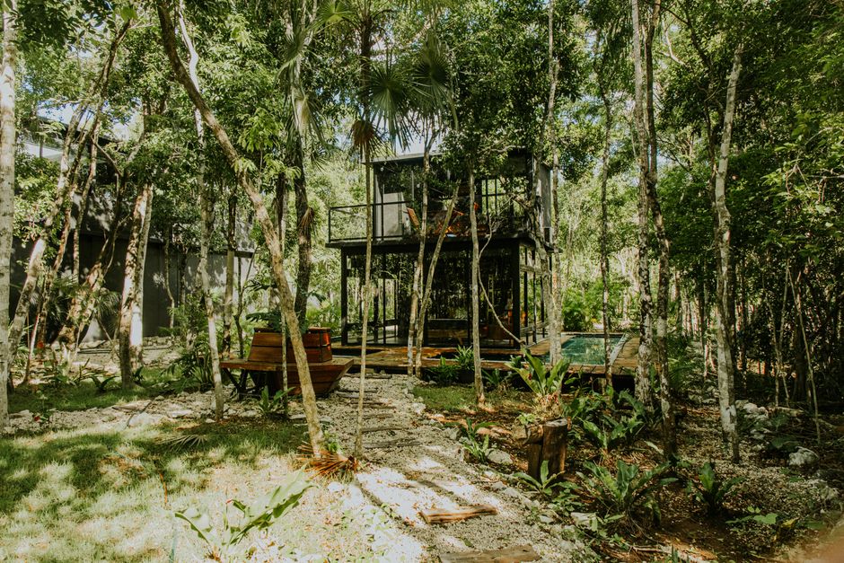 A contemporary treehouse nestled in a lush tropical forest, surrounded by vibrant greenery.
